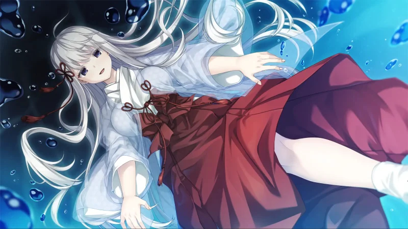 图片[4]-【电脑】废村少女［弐］ ～诱惑阴郁的秘姬之匣~（廃村少女［弐］ ～陰り誘う秘姫の匣～）-ACG游戏社